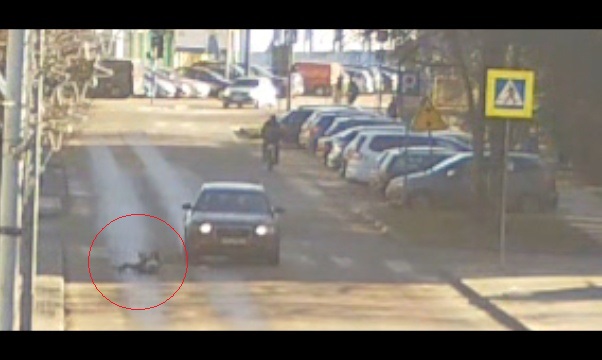 Wyjechał z osiedlowej uliczki i potrącił dziewczynkę na przejściu (nagranie)
